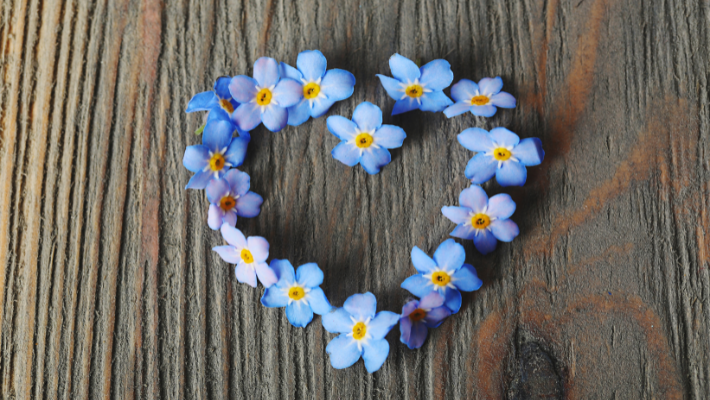 wereld alzheimer dag - vergeet me nietjes - vergeet me niet - bloemen